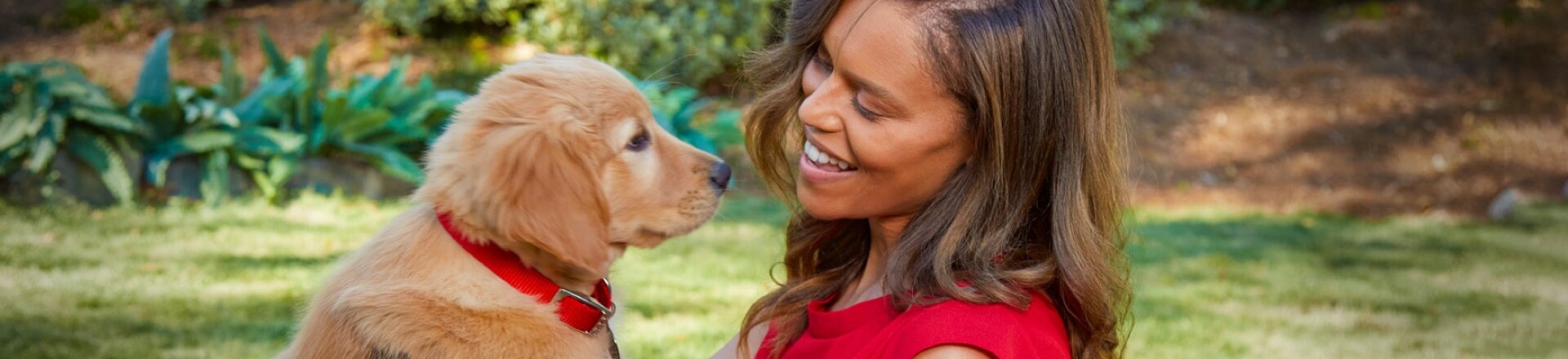 A woman holds a small puppy in her arms