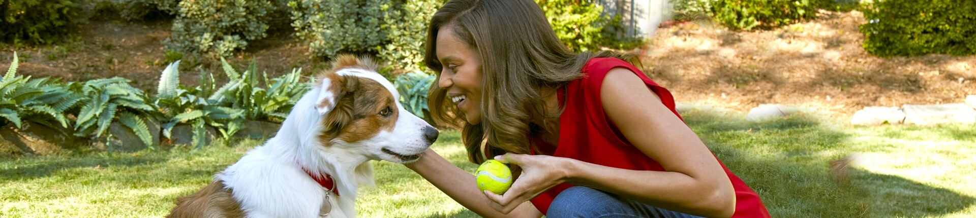 A woman pets her dog while holding a tennis ball in her hand