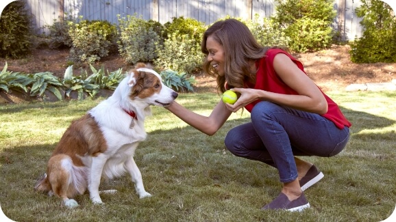 A woman is about to throw a tennis ball for her dog