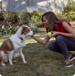 A woman is about to throw a tennis ball for her dog