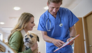 A veterinarian shows a client information about their pet's health