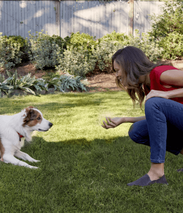 A woman is about to throw a tennis ball for her dog