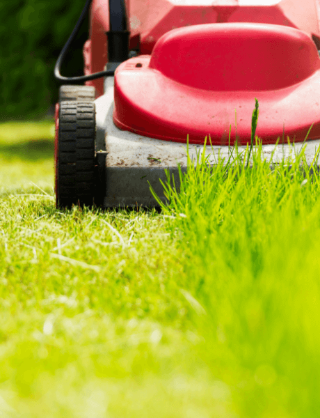 A lawnmower cutting the grass