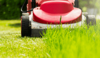 A lawnmower cutting the grass